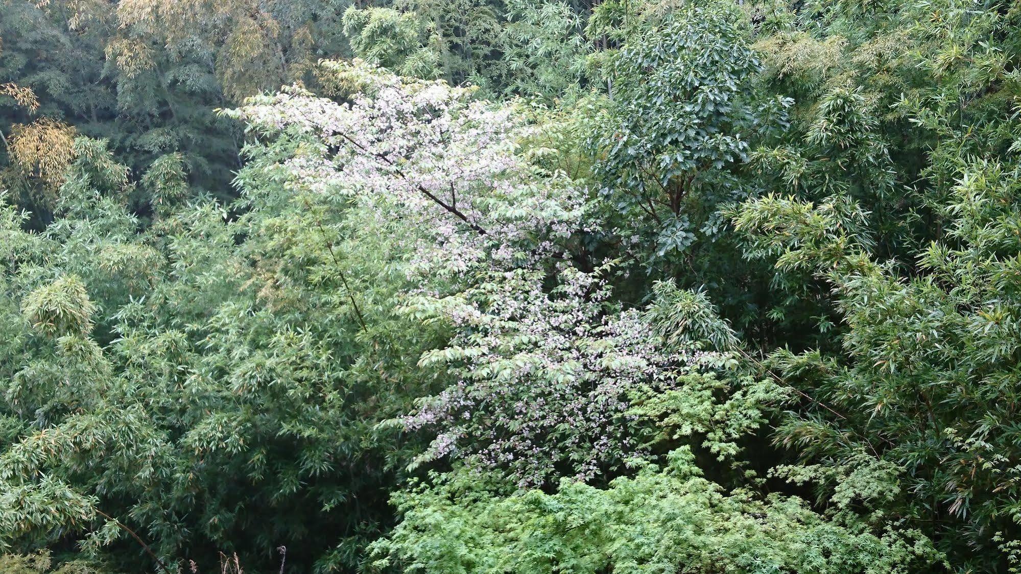 Yunaginoyu Hotel Hanajyukai Takamatsu Dış mekan fotoğraf