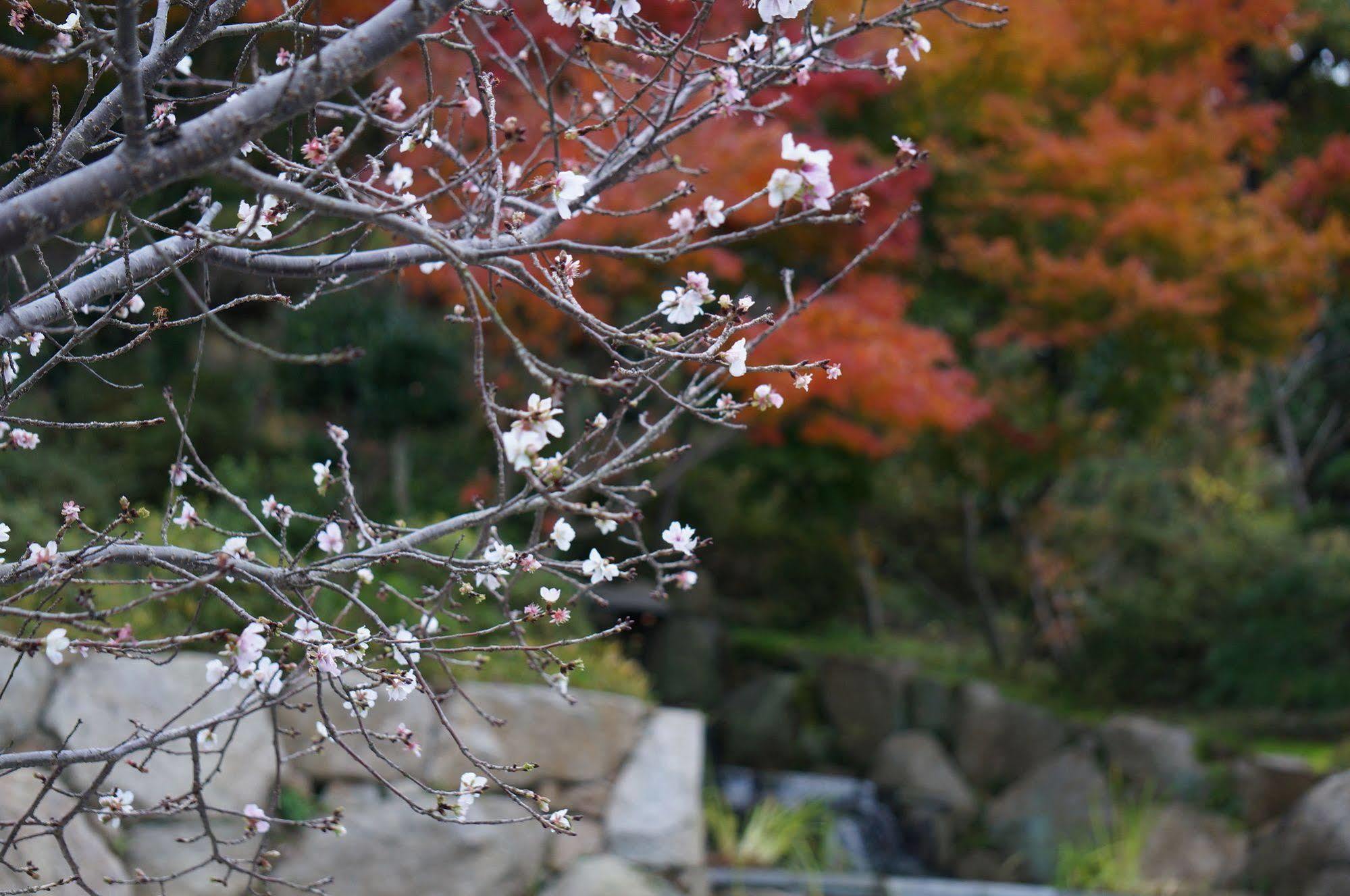 Yunaginoyu Hotel Hanajyukai Takamatsu Dış mekan fotoğraf